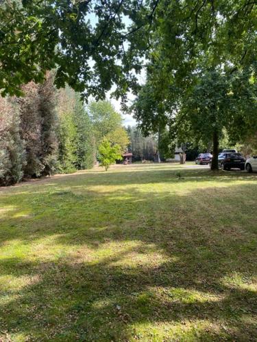 a park with trees and a field of grass at Panoramic Bungalow Sint Gillis-Waas in Sint-Gillis-Waas