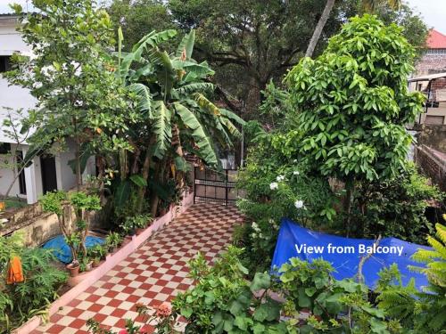 a view from below of a garden with a checkered walkway at Sithara Homestay Fort Cochin in Cochin