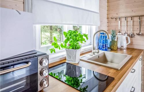 eine Küche mit einer Spüle und einer Mikrowelle in der Unterkunft 2 Bedroom Amazing Home In Kolczewo in Kołczewo