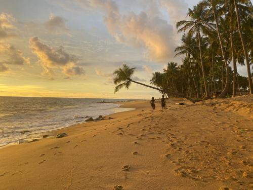 two people walking on a beach with palm trees at The Pearl in Marawila