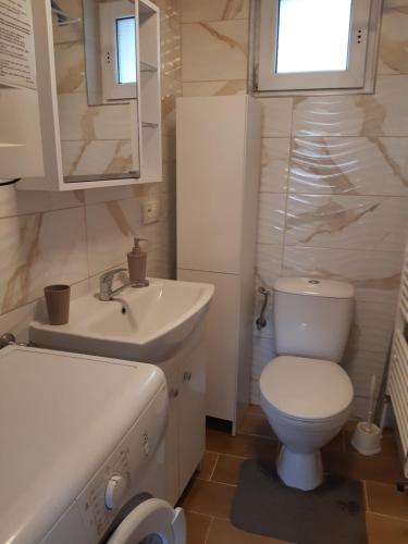 La petite salle de bains est pourvue de toilettes et d'un lavabo. dans l'établissement Ubytovani u Nadii, à Železný Brod