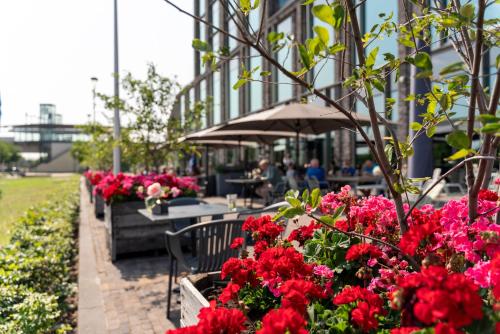 a bunch of red flowers in front of a building at Van der Valk Hotel Nijmegen-Lent in Nijmegen