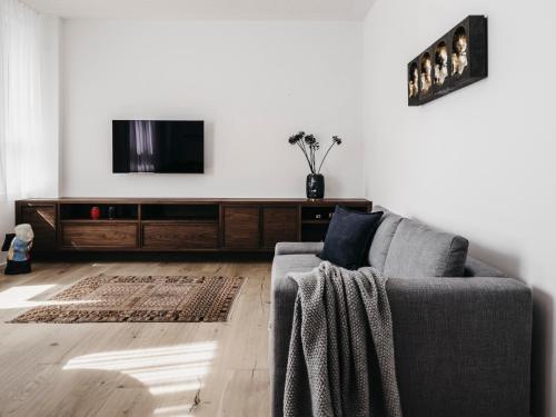 sala de estar con sofá y TV de pantalla plana en Das Dietrich - Studio Saillerhof en Leibnitz