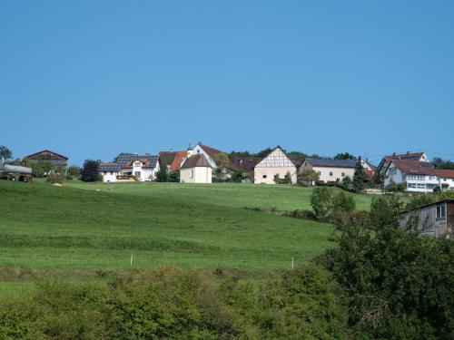 a large green field with houses in the background at Ferienwohnung am Hof in Zwiefalten