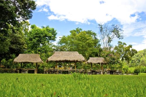 un gruppo di tavoli con tetti di paglia in un campo di Hmong Hilltribe Lodge a Mae Rim