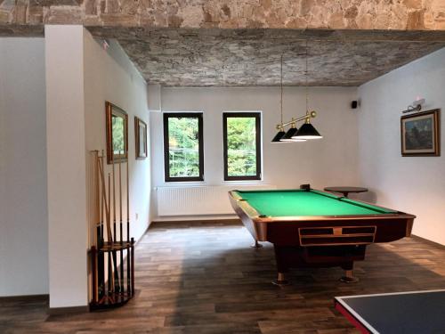 a billiard room with a pool table in it at Pension Onelia in Gîrda de Sus