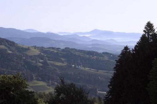 a view of a valley with trees and mountains at Enzianhof in Ligist
