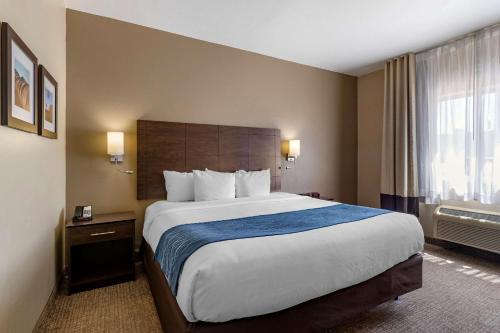 a hotel room with a large bed and a window at Comfort Inn & Suites Waterloo - Cedar Falls in Waterloo