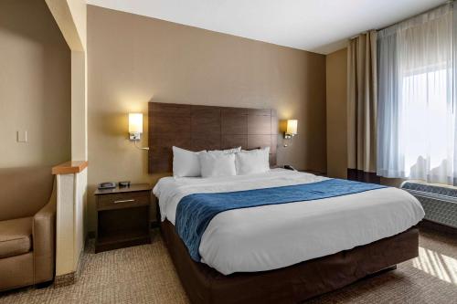 a hotel room with a large bed and a window at Comfort Inn & Suites Waterloo – Cedar Falls in Waterloo