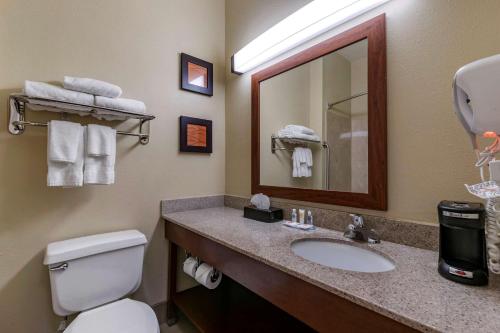 a bathroom with a toilet and a sink and a mirror at Comfort Inn & Suites Waterloo - Cedar Falls in Waterloo