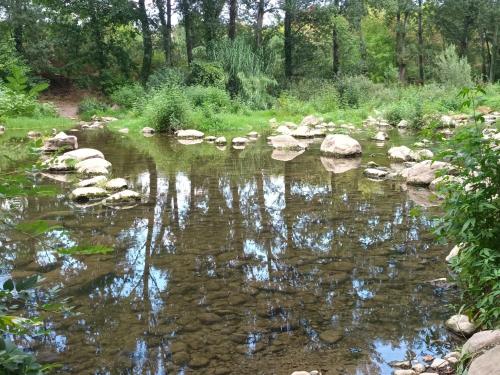 a river with rocks and trees in a forest at CAMPING DE BESALU in Besalú