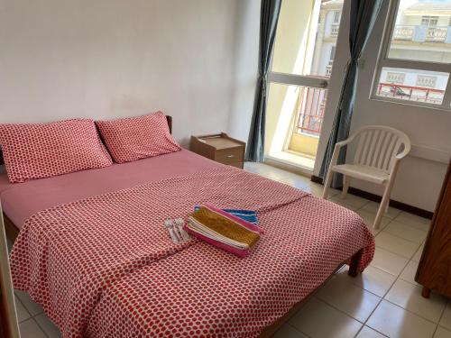 a bedroom with a bed and a chair and a window at Private Apartment Wakin Residence, City Centre, Port Louis in Port Louis