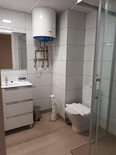 a bathroom with a toilet and a sink and a mirror at La Casona del Eboni in Alcalá de Henares