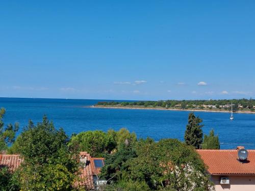 Gallery image of Apartments Henc in Novigrad Istria