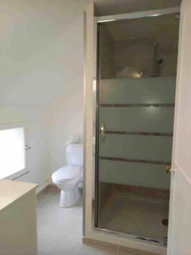 a bathroom with a toilet and a glass shower door at Appartement Hypercentre de Milly in Milly-la-Forêt