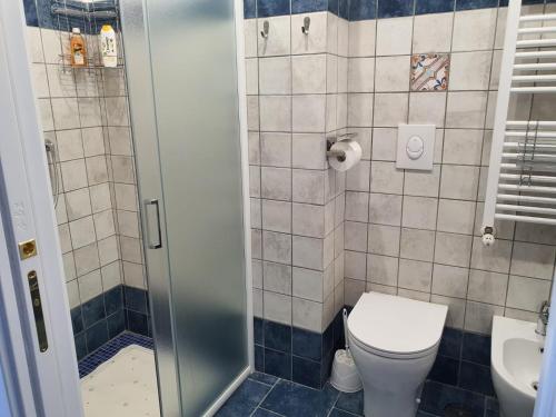 a small bathroom with a toilet and a shower at La Casa di Nunzia B&B in Positano