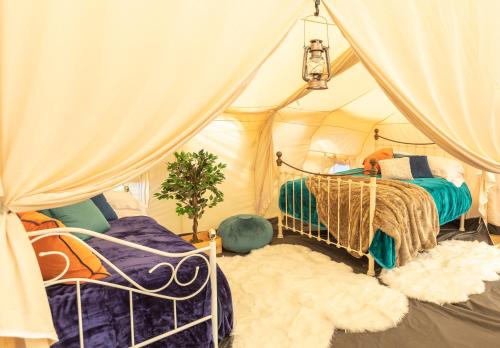 a bedroom with two beds in a tent at 8-Bed Lotus Belle Mahal Tent in The Wye Valley in Ross on Wye