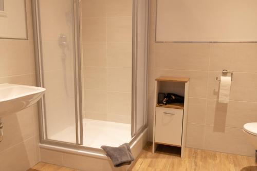 a bathroom with a shower and a sink at Hof Timmermann - Alte Werkstatt in Ottenstein