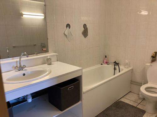 La salle de bains est pourvue d'un lavabo, d'une baignoire et de toilettes. dans l'établissement Locations saisonnières The VOLCANO, à Le Tampon