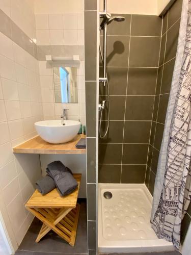 une salle de bain avec un lavabo et une douche dans l'établissement Joli studio hyper centre, à Rouen