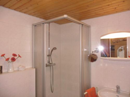 エルツァッハにあるUrlaub auf dem Hänslehofのバスルーム(ガラスドア付きのシャワー付)