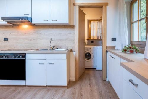 Lotschenhof Apt Margeriteにあるキッチンまたは簡易キッチン