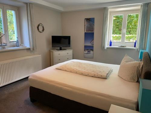 a bedroom with a bed with a television and windows at Jagdschlösschen Schwartow in Boizenburg