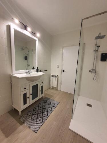 a bathroom with a sink and a mirror at Vicario etxea in Concha