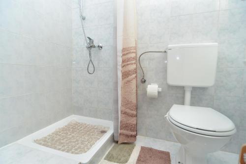 a bathroom with a toilet and a shower at Rooms Veli Vrh 2208 in Pula