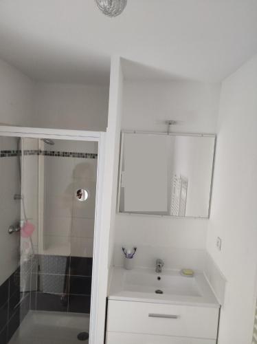 une salle de bain blanche avec un lavabo et une douche dans l'établissement Superbe appartement en rez-de-jardin à LANTON, à Lanton