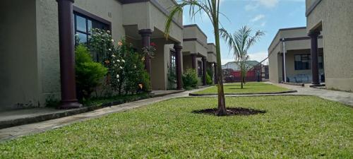 a small tree in the middle of a lawn next to a building at Macb Estate - Apartments in Chililabombwe in Chililabombwe