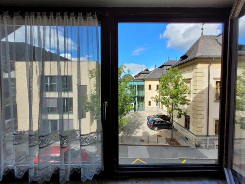 ツェル・アム・ゼーにあるApartment Centrum - Steinbock Lodgesの通りの景色を望む窓