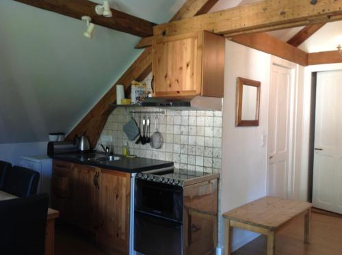 a kitchen with wooden cabinets and a stove top oven at La Brise in Chamonix