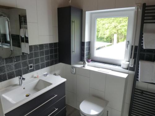 a bathroom with a sink and a toilet and a window at Pension Pulvermühle in Waischenfeld