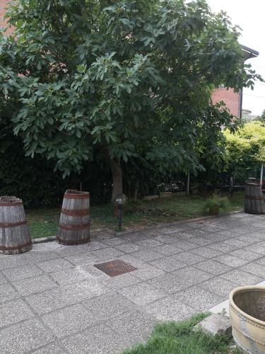 a tree and two barrels on a sidewalk next to a tree at Le stanze di Angelina in Foligno