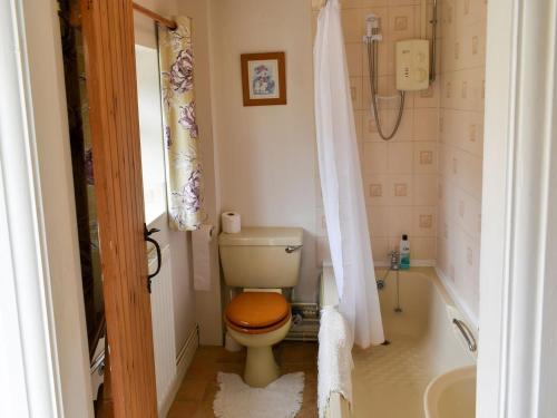 a bathroom with a toilet and a shower and a sink at Blacksmiths Cottage in Gillamoor