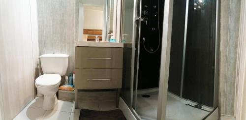 a bathroom with a shower and a toilet and a sink at Studio des Jeux - Alpe d'Huez Hyper Centre - 4-5 personnes - Wifi in LʼHuez