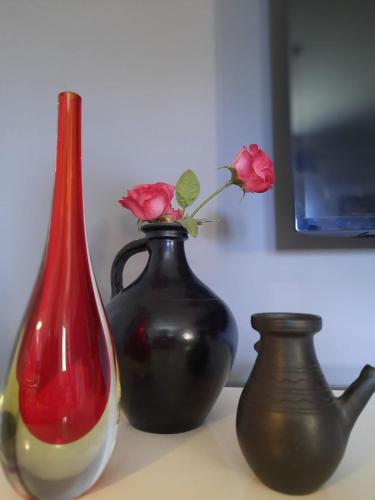 Apartman RIGEL – Photos 2