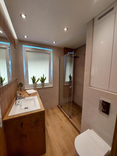 a bathroom with a sink and a shower at Sunset Apartament in Wrocław