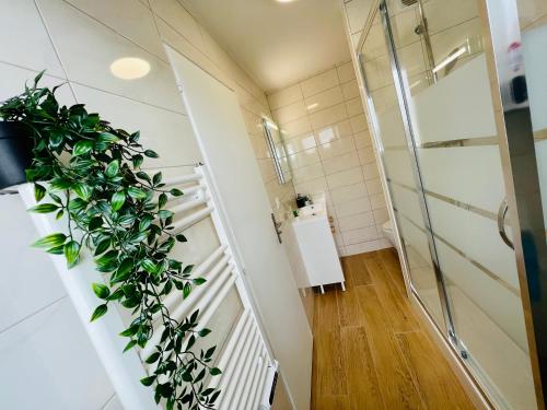 a bathroom with a shower and a plant on the wall at Appartement luxueux et cosy in Cergy