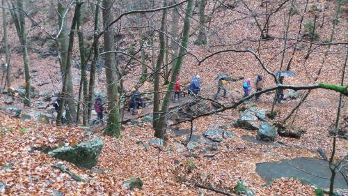 a group of people walking in the woods at Bali in Aywaille