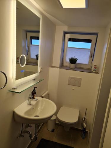 La salle de bains est pourvue d'un lavabo, de toilettes et d'un miroir. dans l'établissement Schöne ruhige Eigentumswohnung mit Terrasse, à Flensbourg