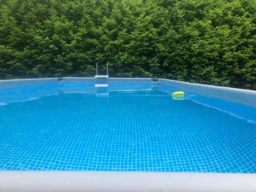 a blue swimming pool with a yellow frisbee in it at Studiodupuyblanc in Saint-Paul