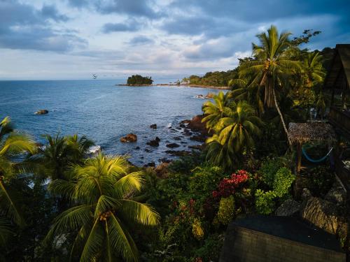 a view of a beach with palm trees and the ocean at Casa Balae in Nuquí