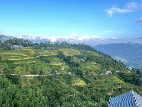 a view of a hillside with ricefields and trees at Homestay Chân Mây Chiêu Lầu Thi in Hoàng Su Phì
