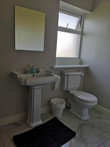a bathroom with a toilet and a sink and a window at Spacious and warm 2 bedroom apartment sleeps up to 5 in Athy