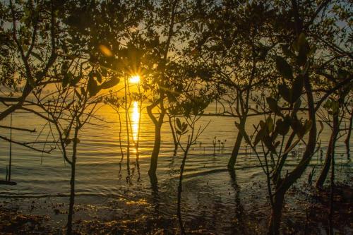 a sunset over a body of water with trees at Terrazas del Golfo in La Palma