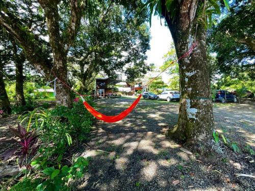 an orange hammock hanging from a tree in a park at Terrazas del Golfo in La Palma