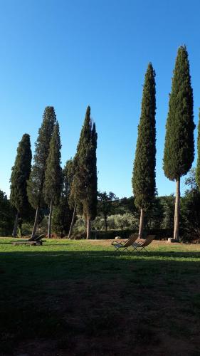 a park with trees and a bench in the grass at Podere Pievina Delle Corti - Dimora di Campagna in Sinalunga