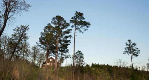 Lookout at Eagle Ridge cabin – Photos 2